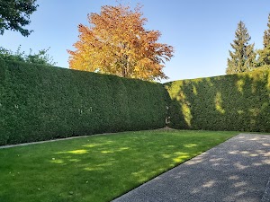 AB+C Landscape Maintenance Inc AB+C Landscape Maintenance Inc