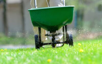 Why Lime – Do you Really Need to Lime Your Lawn?