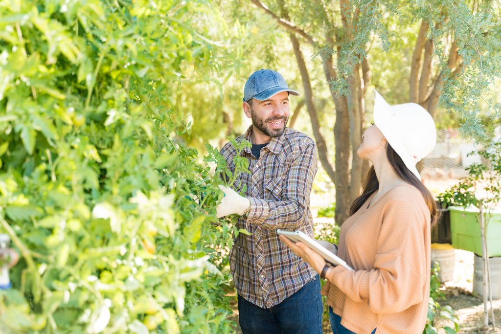Local landscaper wearing a plaid shirt speaking openly and respectfully with his client in a white hat about her lawn care options.
