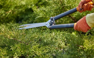 Why Hiring a Local Landscaping Company Matters